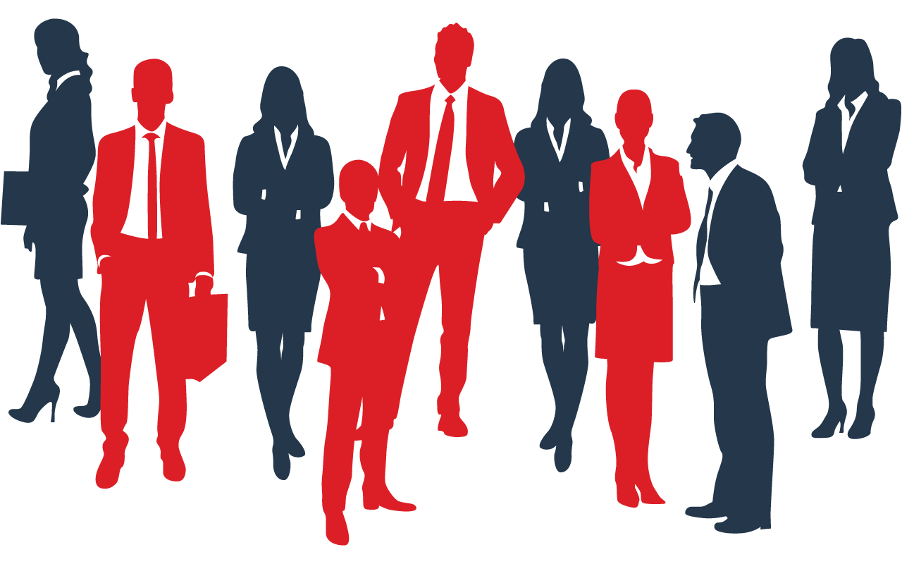 team-HR team-HR